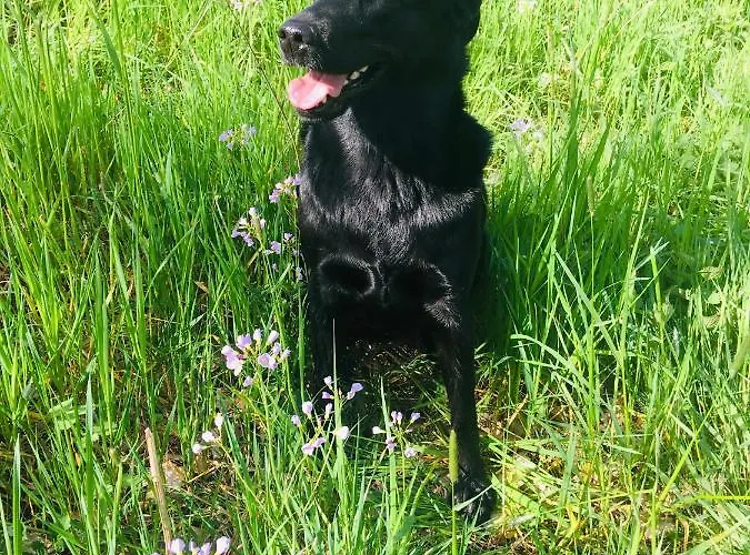 Διαμέρισμα Bed & Kersenbloesem *